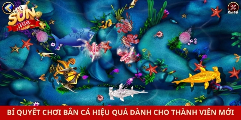 Bí quyết chơi bắn cá  hiệu quả dành cho thành viên mới